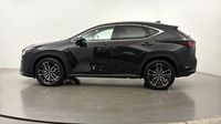 Lexus Nx 450h+ Executive 4WD — photo 7