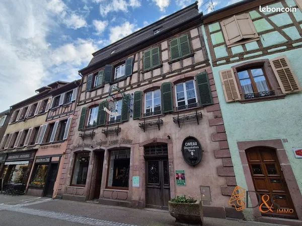 Maison 15 pièces 600 m²