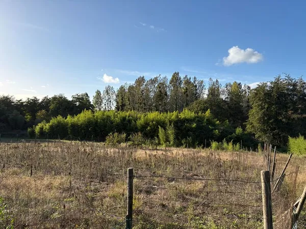 Terrain Carcares Sainte Croix 1560 m2