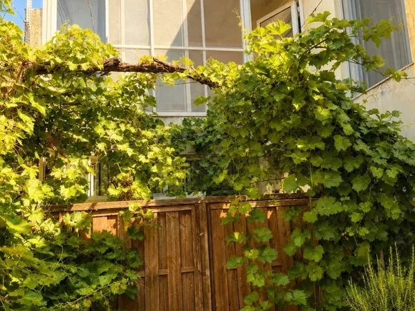 Appartement 4 pièces 108 m²