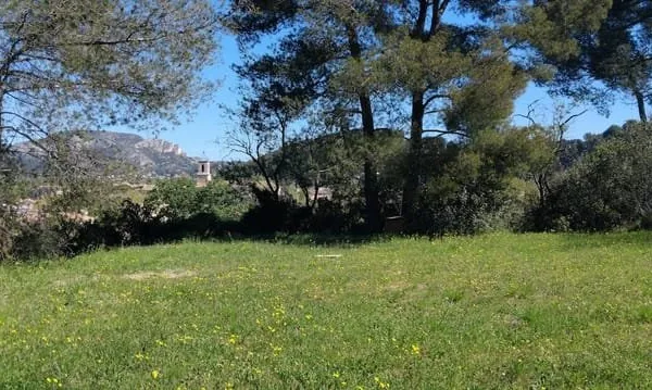 Terrain constructible 5004 m²