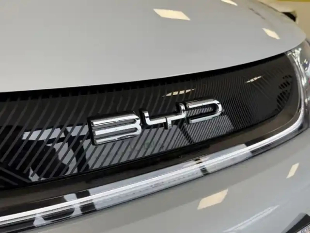 Byd Dolphin comfort 427km d'autonomie wltp, siège chauffant, caméra — photo 24