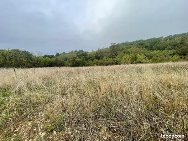 Terrain 2841 m² Sonnay