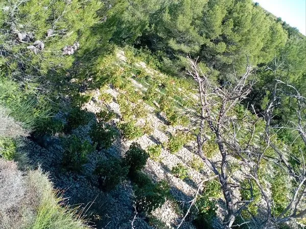 Terrain agricole non constructible