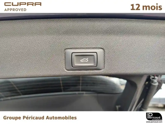 Cupra Terramar 1.5 ehybrid 272 ch dsg6 — photo 11