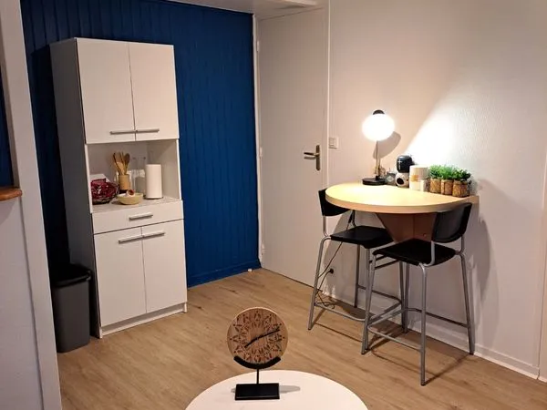 A louer appartement T1 très lumineux à proximité de l'IUT, Lycée Jean Monnet, IFSI