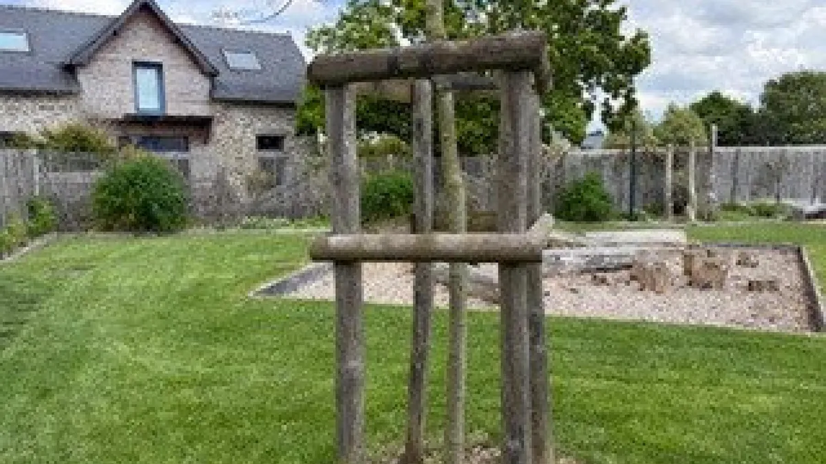 Photo 4