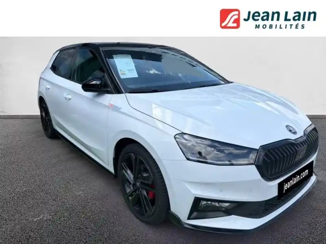 Skoda Fabia 1.5 tsi 177 ch evo 2 dsg7 — photo 39