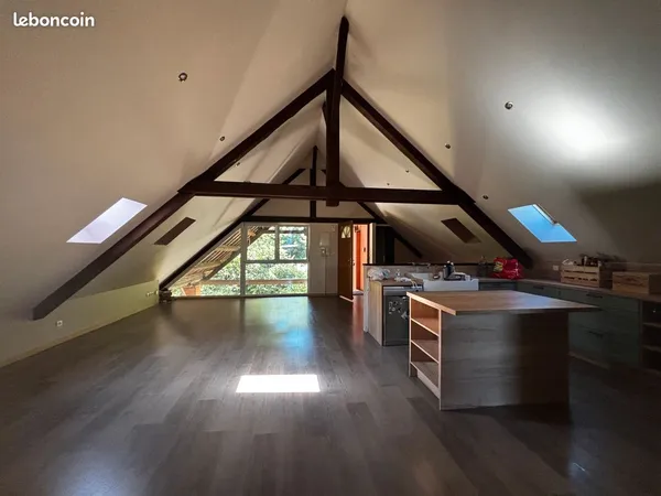 Appartement type loft