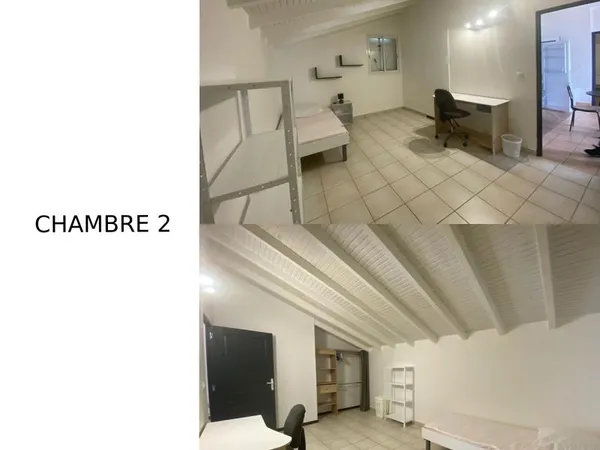 Colocation Étudiante