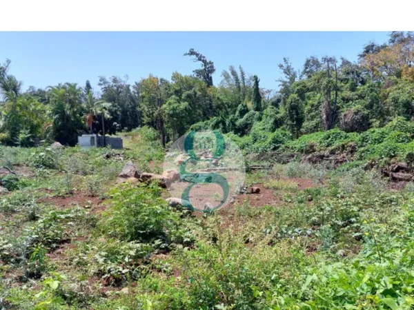 Terrain de 1740m2 - Zone Artisanale - LA MARE - Ste Marie