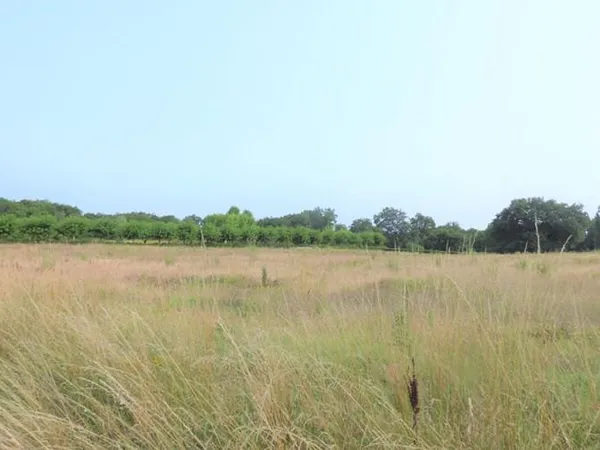 Terrain 2802 m²
