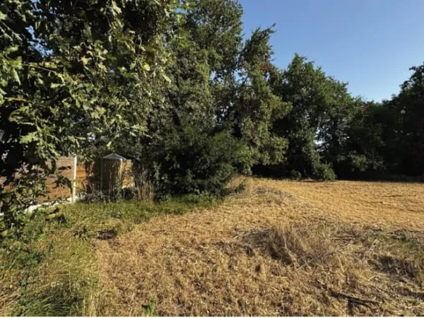 Maison neuve 4 pièces 107 m²