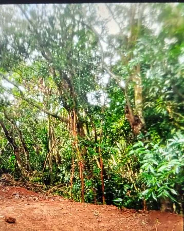 Terrain 400 m2 La Montagne