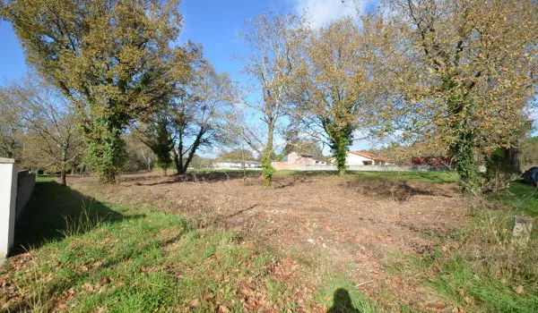 Terrain 3360 m²