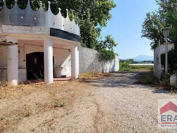 Local commercial Sarrians - 574 m2 - Piscine - Patio- Parking
