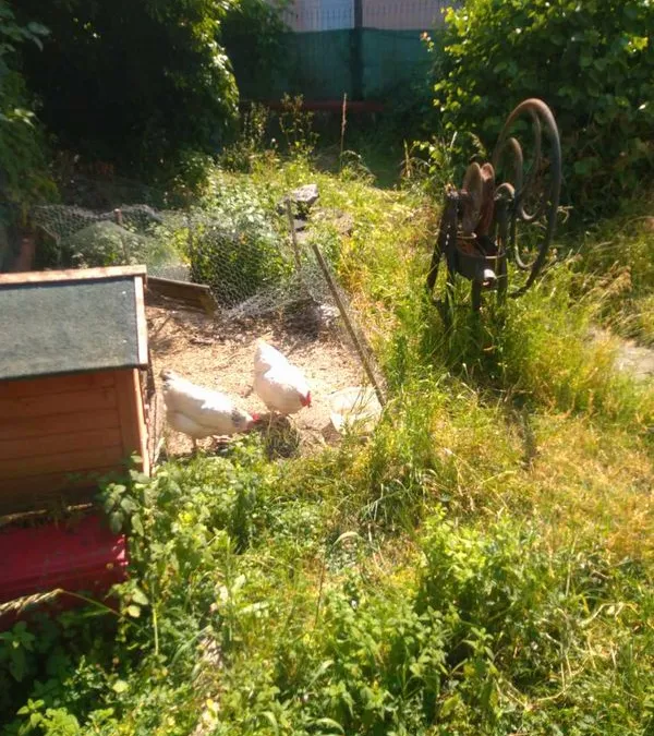 Photo 3