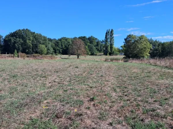 Terrain 5172 m²