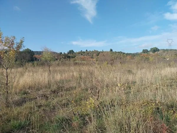 Terrain 36175 m²