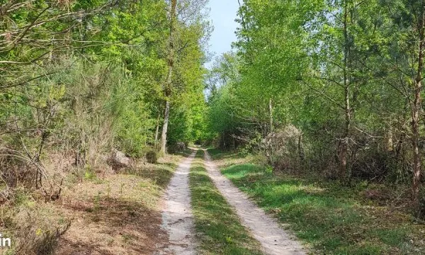 Terrain 153900 m² NEUVY SUR BARANGEON