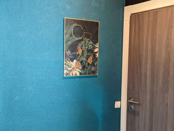 T3 - 2 ch. À louer 450 euros