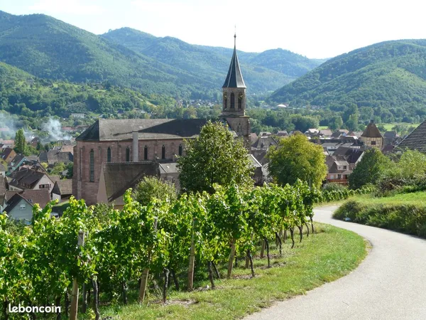 Terrain 875 m² Wihr-au-Val