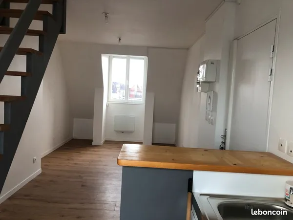 Studio duplex centre ville