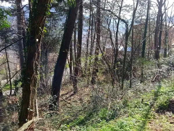 Terrain constructible 791 m2 avec vue montagne - Bessèges