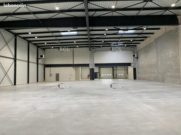 Local bureaux 1 225 m²