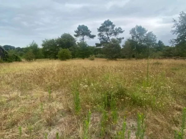 Terrain 2382 m²