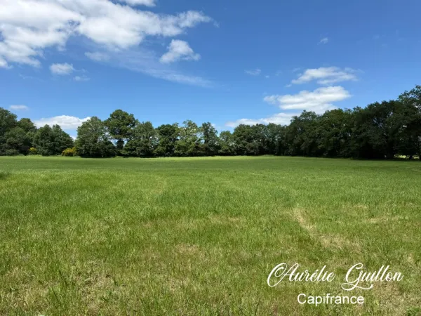 Terrain 19808 m²