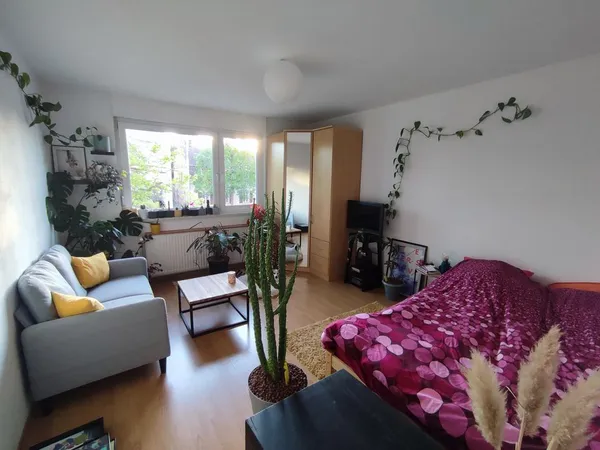 Studio de 31m2 à louer sur Strasbourg