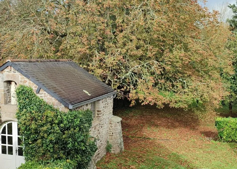 Photo 14
