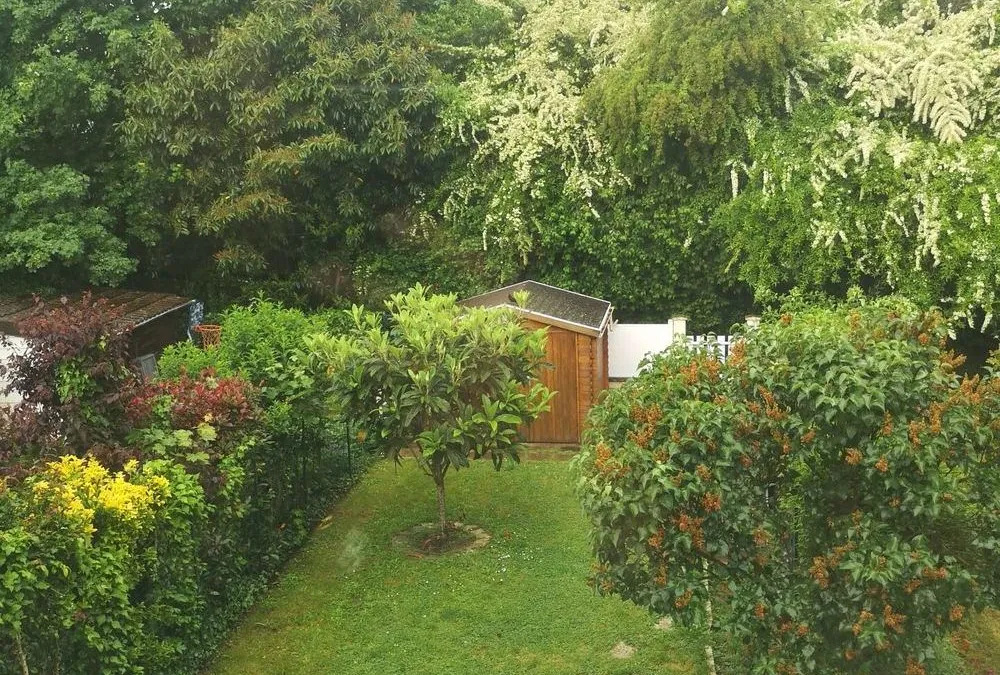 Photo 14