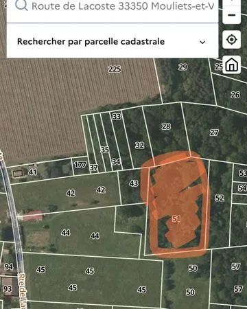 Bois de 8620 m2 avec pylône de palombière