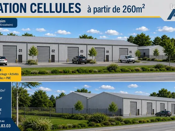Local de 262m2 à 2620m2