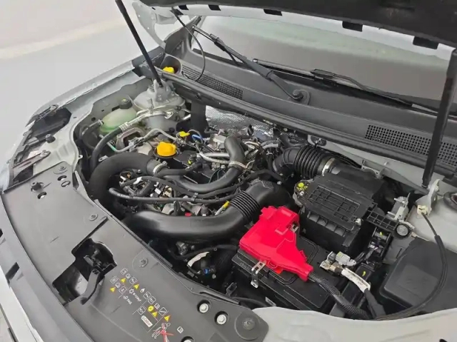 Dacia Duster eco-g 100 4x2 — photo 92
