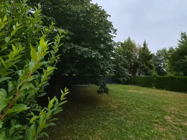 Terrain constructible