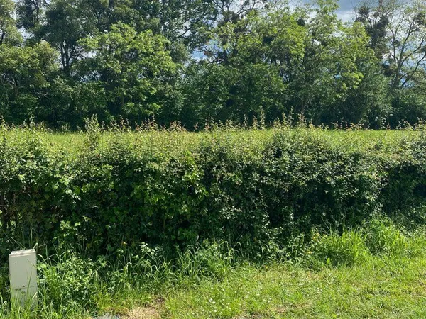 Terrain constructible Fercé sur Sarthe