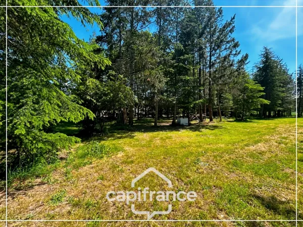 Terrain 3000 m²