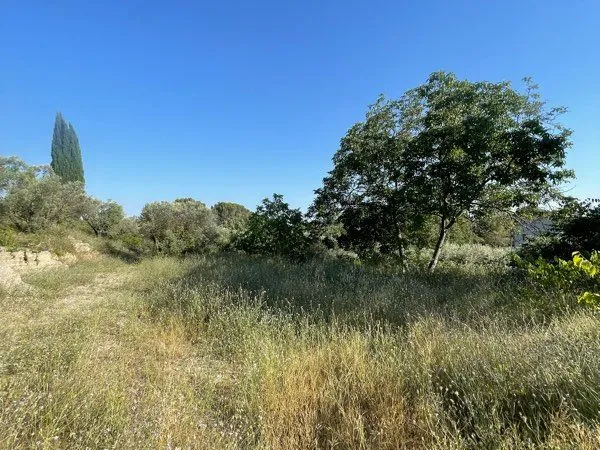 TERRAIN CONSTRUCTIBLE 1 230 m² - VALENSOLE - VIABILISÉ - OLIVERAIE