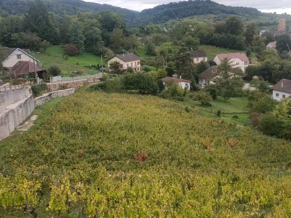 Joli terrain de 3014 m2 constructible à ARBOIS (JURA ) à 2 min du centre