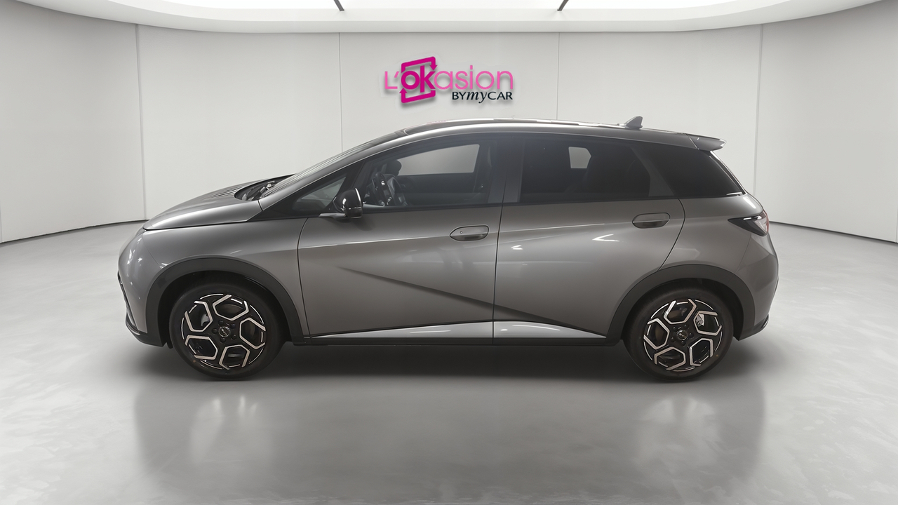 BYD Dolphin 60,4 kWh 204 ch — photo 2