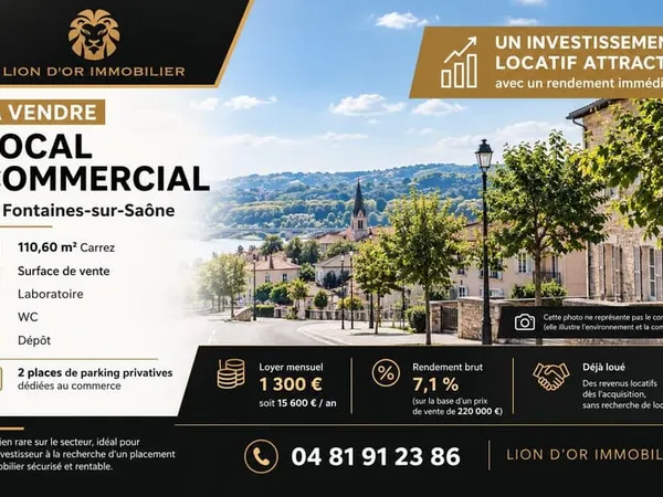 Immobilier Professionnel à vendre Fontaines-sur-Saône