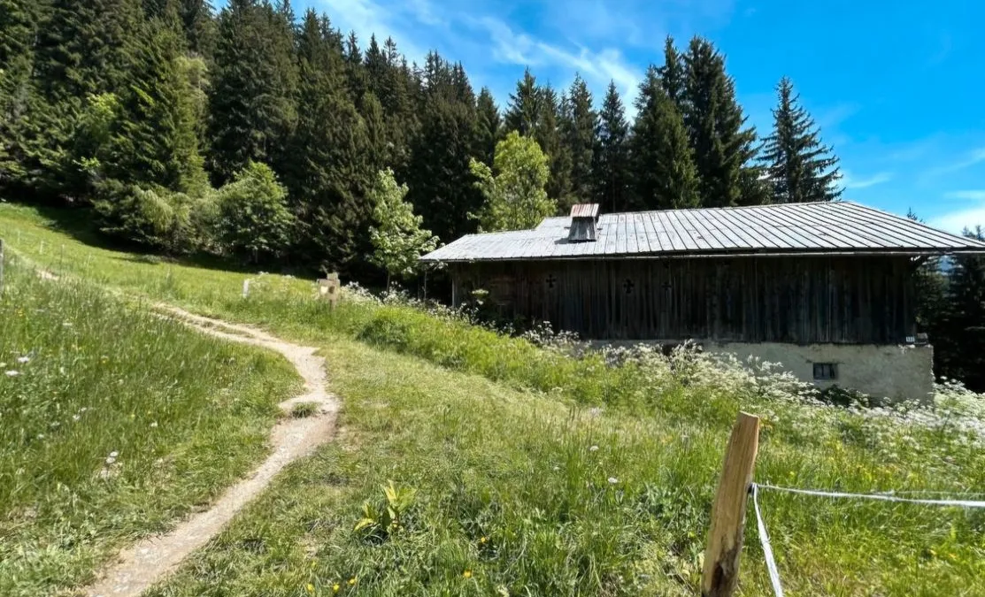Photo 1