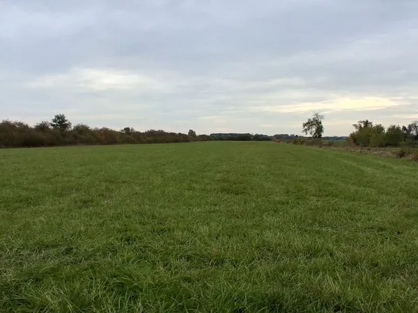 Grand terrain / pré de 2,4 hectares