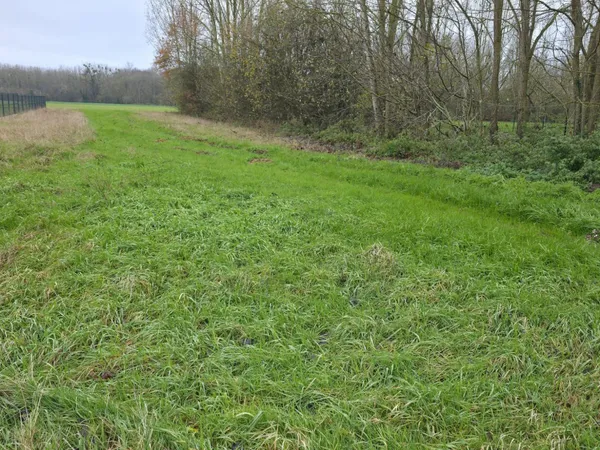 Terrain en individuel 1390 m²