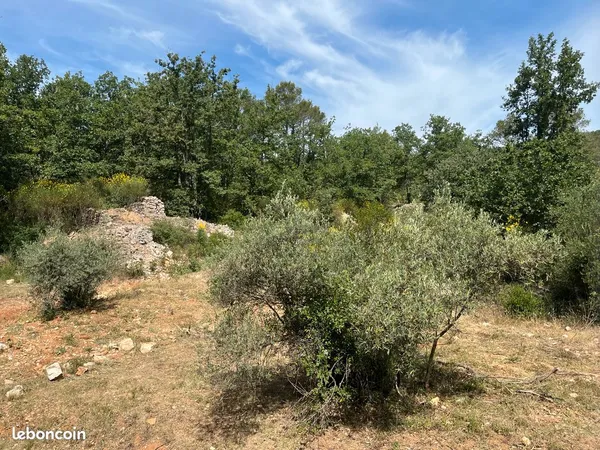 Terrain de 300 m2 au calme et boisé