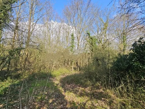 Terrain 597 m²