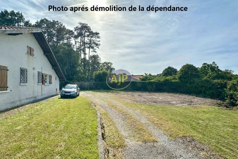 Photo 1